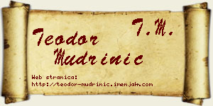 Teodor Mudrinić vizit kartica